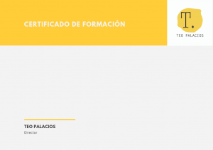 Certificado Teo Palacios